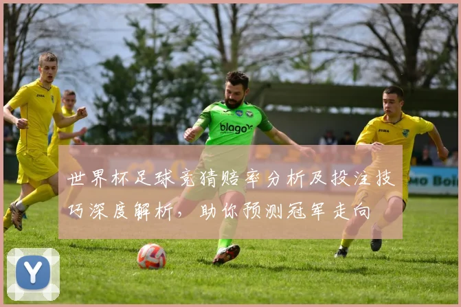 世界杯足球竞猜赔率分析及投注技巧深度解析，助你预测冠军走向